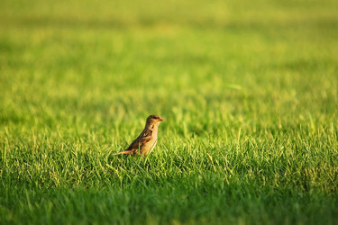 Similar image 1607195