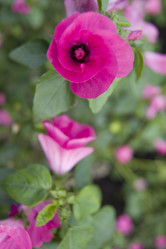 Similar image 1607197