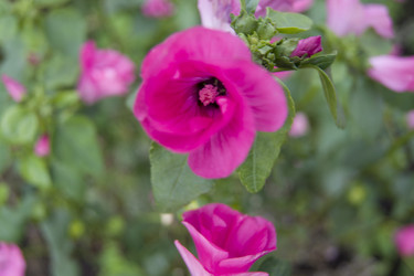 Similar image 1607198