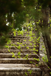 Similar image 1607246