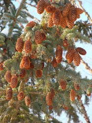 Similar image 1607255