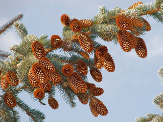 Similar image 1607258