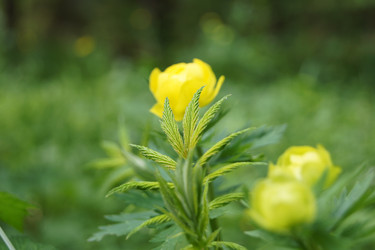 Similar image 1607262