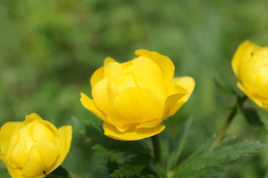 Similar image 1607263