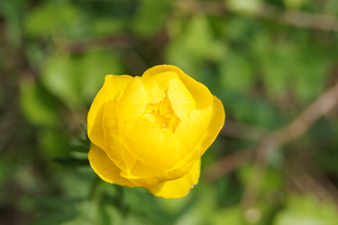 Similar image 1607264