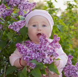 Similar image 1607288