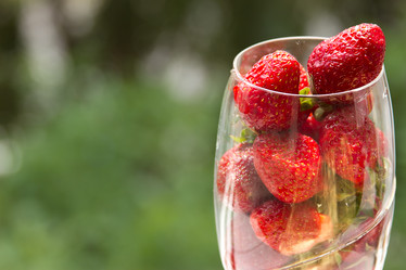 Similar image 1607361