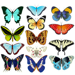 Similar image 1607430