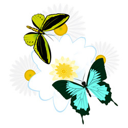 Similar image 1607439