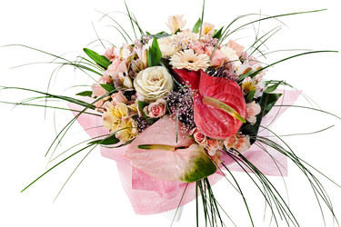 Similar image 1607446