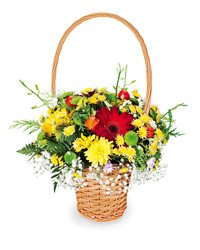 Similar image 1607451