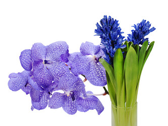 Similar image 1607460