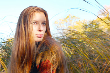 Similar image 1607508