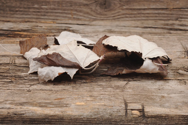 Similar image 1607549