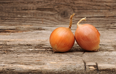 Similar image 1607558