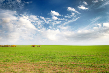 Similar image 1607653