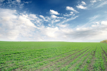 Similar image 1607654