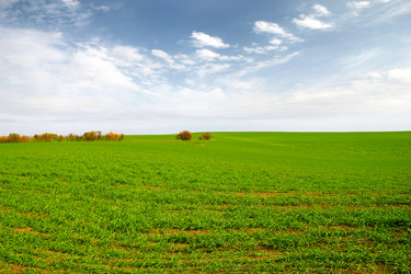 Similar image 1607655