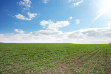 Similar image 1607656