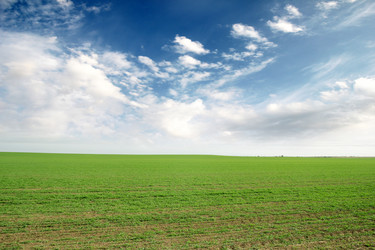 Similar image 1607657