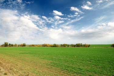 Similar image 1607658