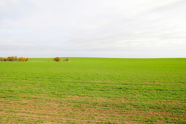 Similar image 1607659