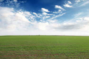 Similar image 1607661