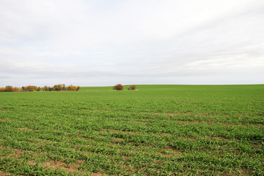 Similar image 1607664