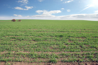 Similar image 1607665