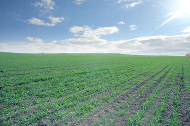 Similar image 1607666