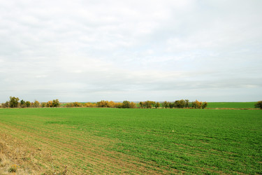 Similar image 1607667