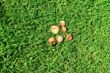 Similar image 1607836