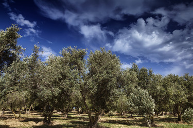 Similar image 1608105