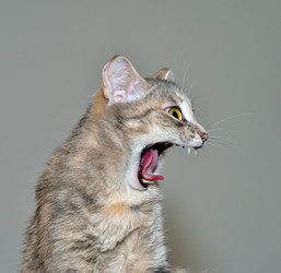 Similar image 1608167