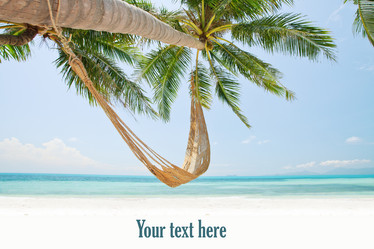 Similar image 1609054