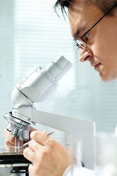 Similar image 1609077