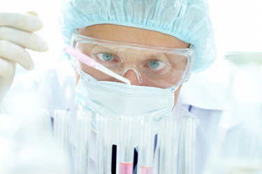 Similar image 1609089