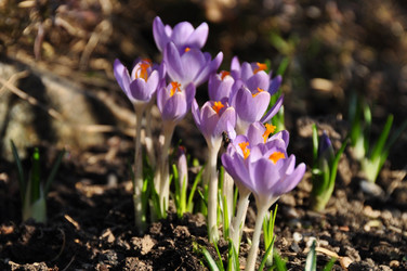 Similar image 1609162