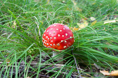 Similar image 1609260