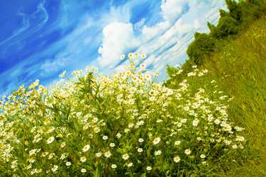 Similar image 1609328