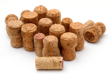 Similar image 1609336