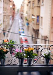 Similar image 1609340