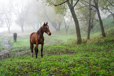 Similar image 1609517