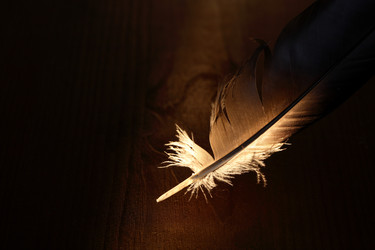 Similar image 1609570