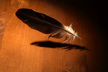 Similar image 1609574