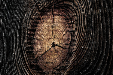 Similar image 1609584