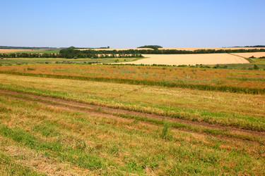 Similar image 1609628