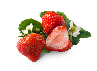 Similar image 1609657