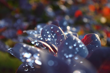 Similar image 1609677