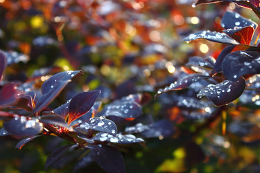 Similar image 1609678